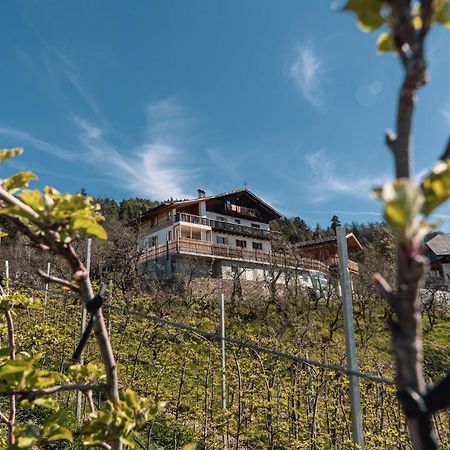 Malgorerhof Lavendel San Genesio Atesino Bagian luar foto
